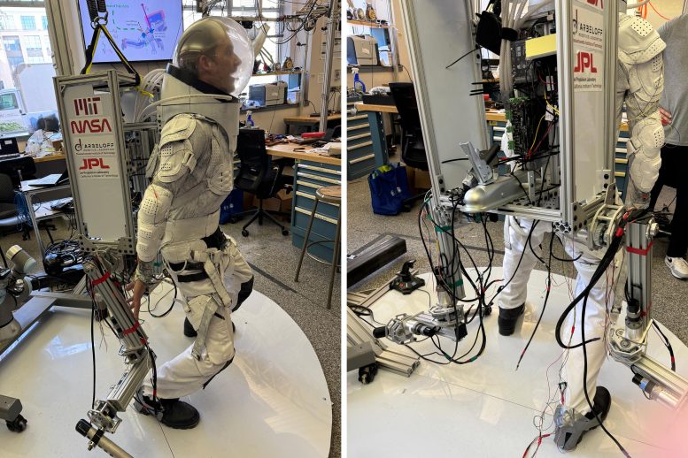 Robotic SuperLimbs Can Physically Assist Astronauts