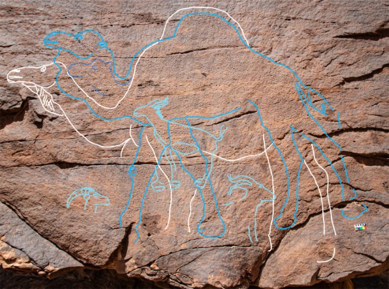 Rock Art Panels at Jebel Arnaan
