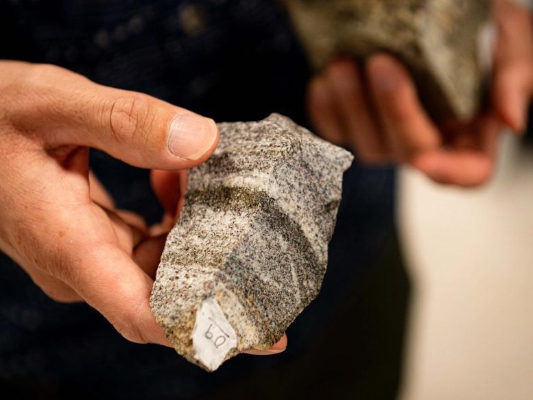 Rock Evidence Stable Continent Formation