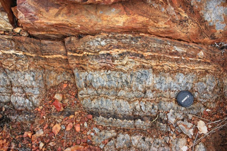 Rocks of the Pilbara Craton Exposed on the Surface