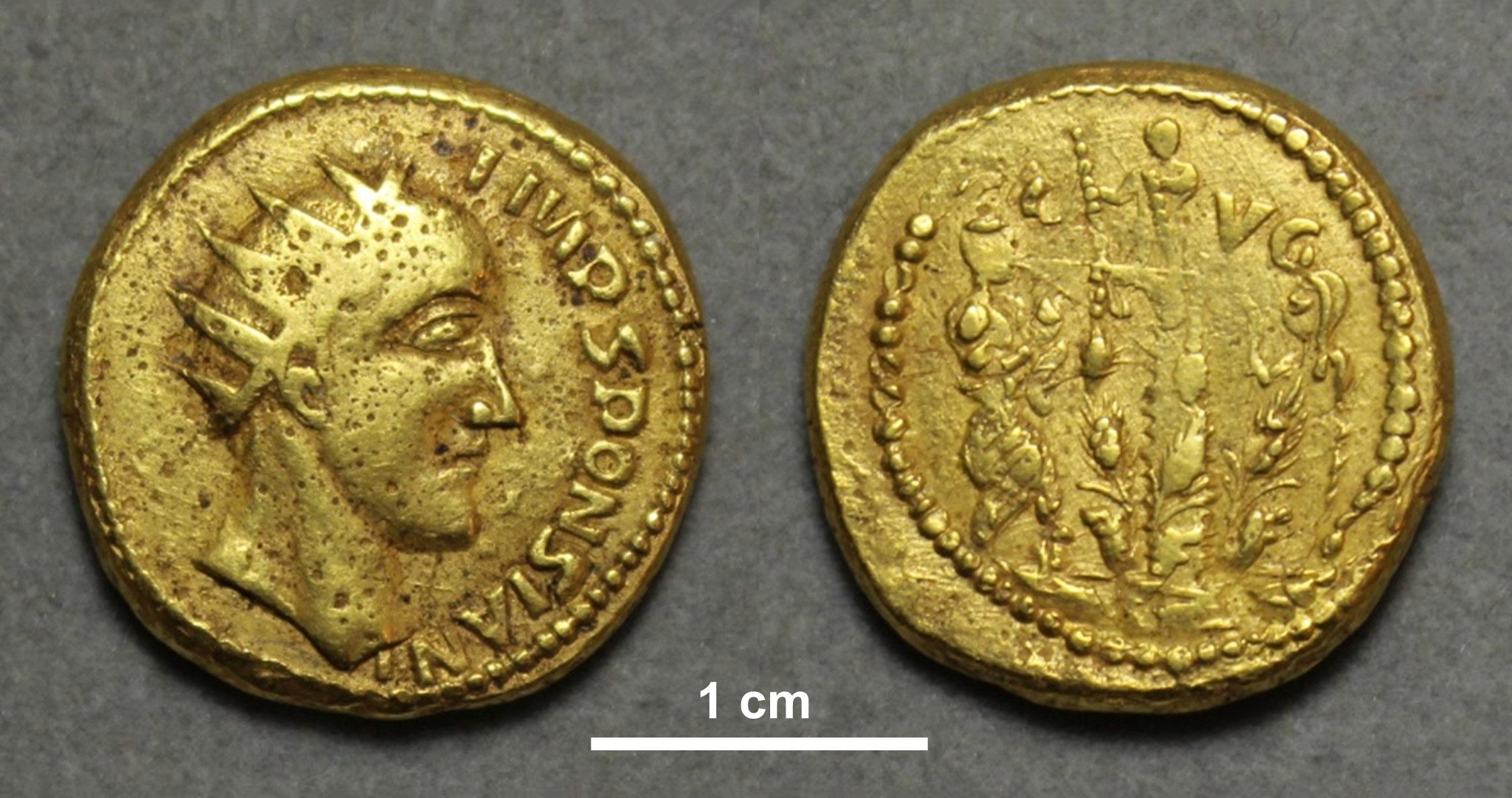 Ancient Roman Gold Coins  Long Thought To Be Fakes  Now Authenticated
