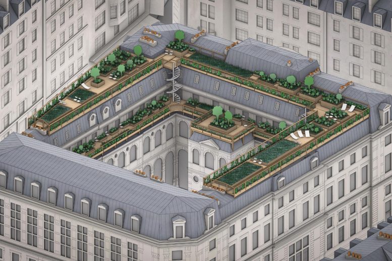 Roofscapes Greenspaces on Pitched Roofs in Paris