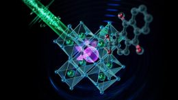 Room Temperature Coherent Optical Manipulation of Hole Spins in Solution Grown Perovskite Quantum Dots