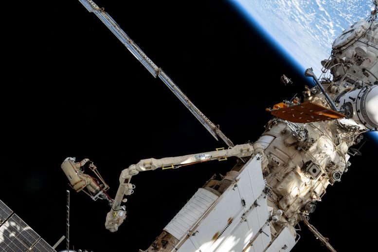 Roscosmos Cosmonaut Alexey Ovchinin Rides European Robotic Arm