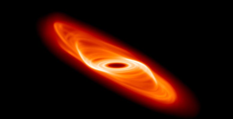 Rotating Protoplanetary Disc With Warp in Initial Stages