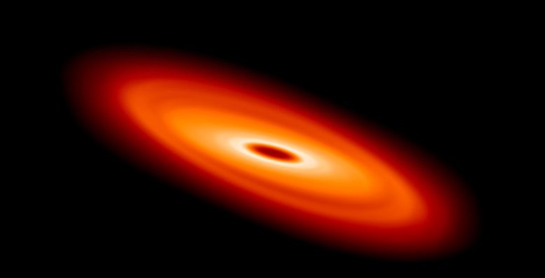 Rotating Protoplanetary Disc With Warp in Later Stages