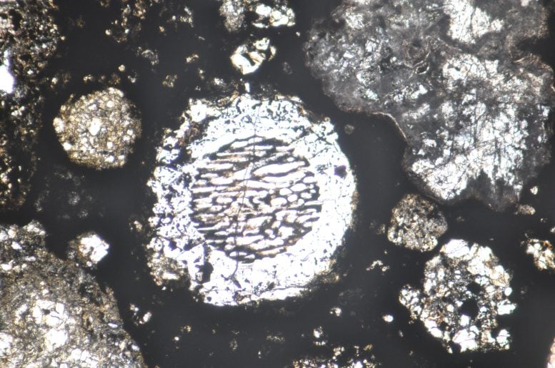 Para ilmuwan telah terungkap ketika Jupiter lahir, memecahkan waktu yang lama 3 Chondrules Round Allende Meteorite