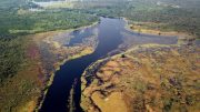 Ruki River Congo Basin