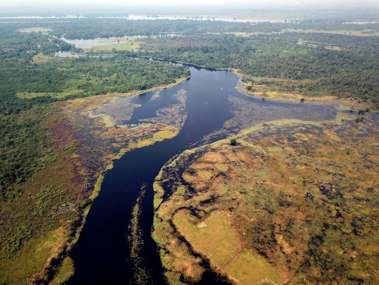 Ruki River Congo Basin