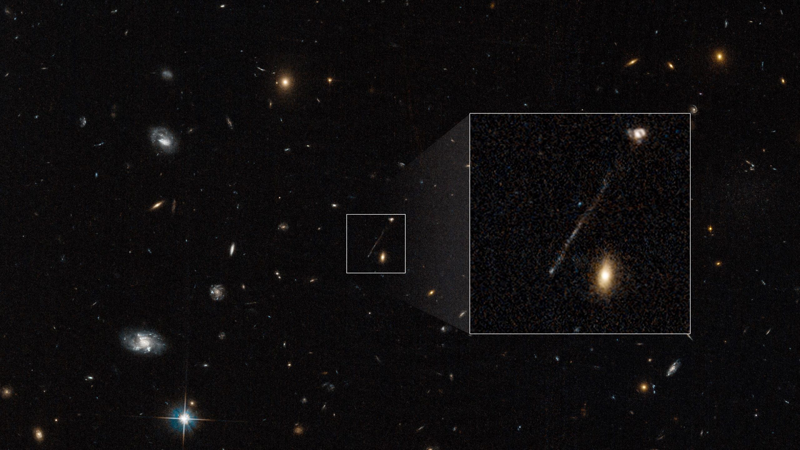 Cosmic Monster on the Loose: Runaway Supermassive Black Hole Is “Not Like  Anything Seen Before”