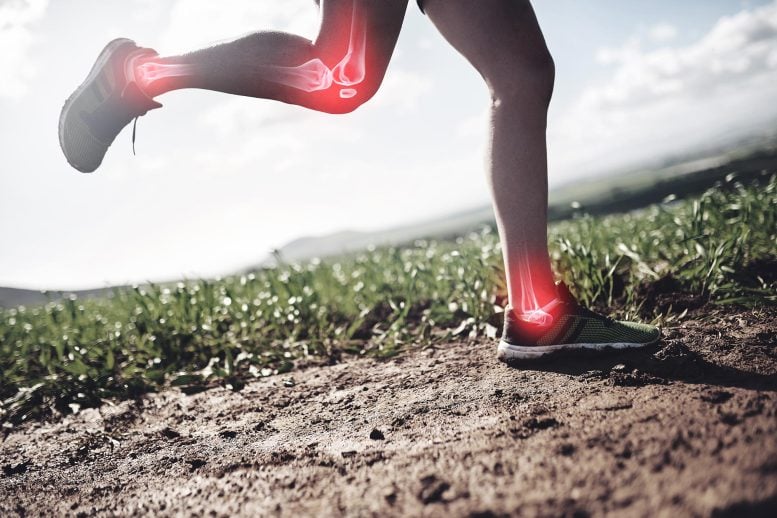 Running Joints Beating Knee Leg Ankle Injury