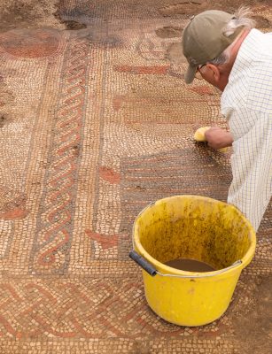 Rutland Mosaic Archaeologist