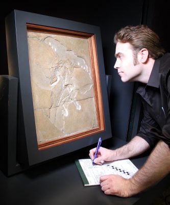 Ryan Carney Examines Archaeopteryx