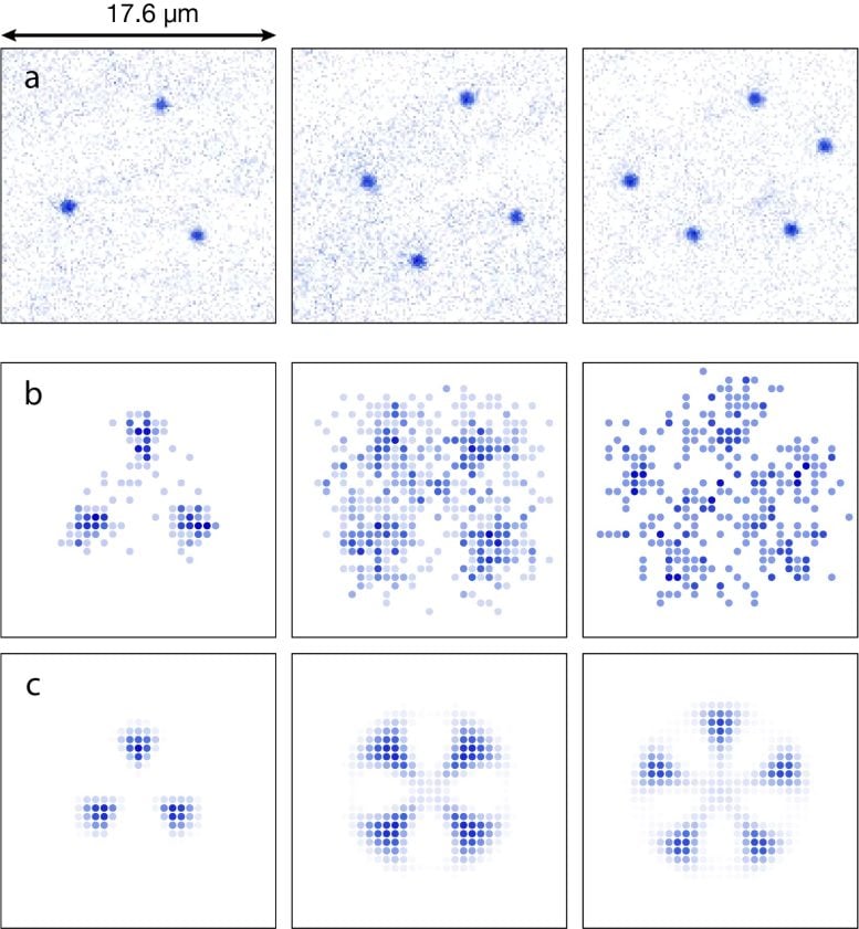 Rydberg Excitations Reveal Geometric Patterns