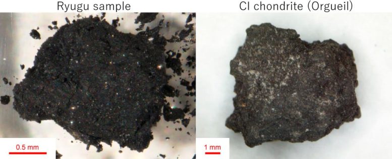 Ryugu Sample and CI Chondrite