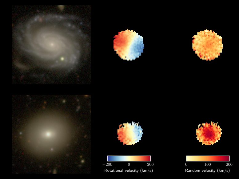 SAMI Galaxy סקר צעירים ומבוגרים השוואה