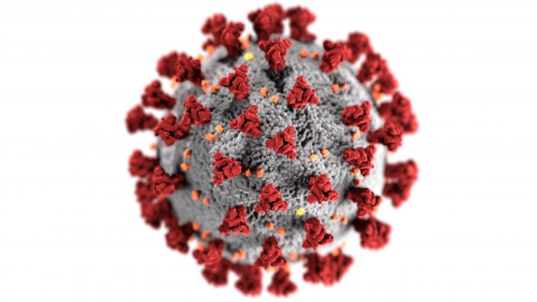 SARS-CoV-2 Coronavirus CDC Illustration