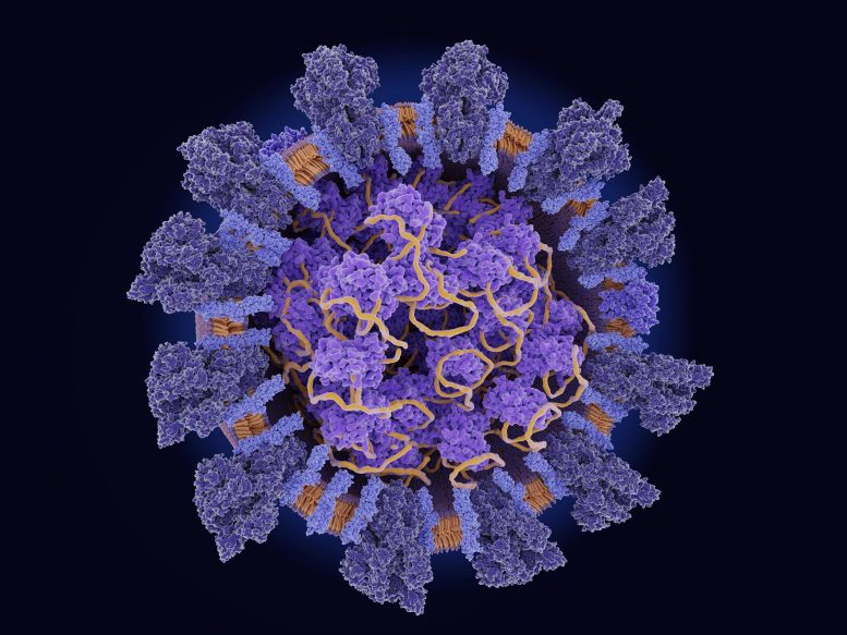 SARS-CoV-2 Coronavirus Structure