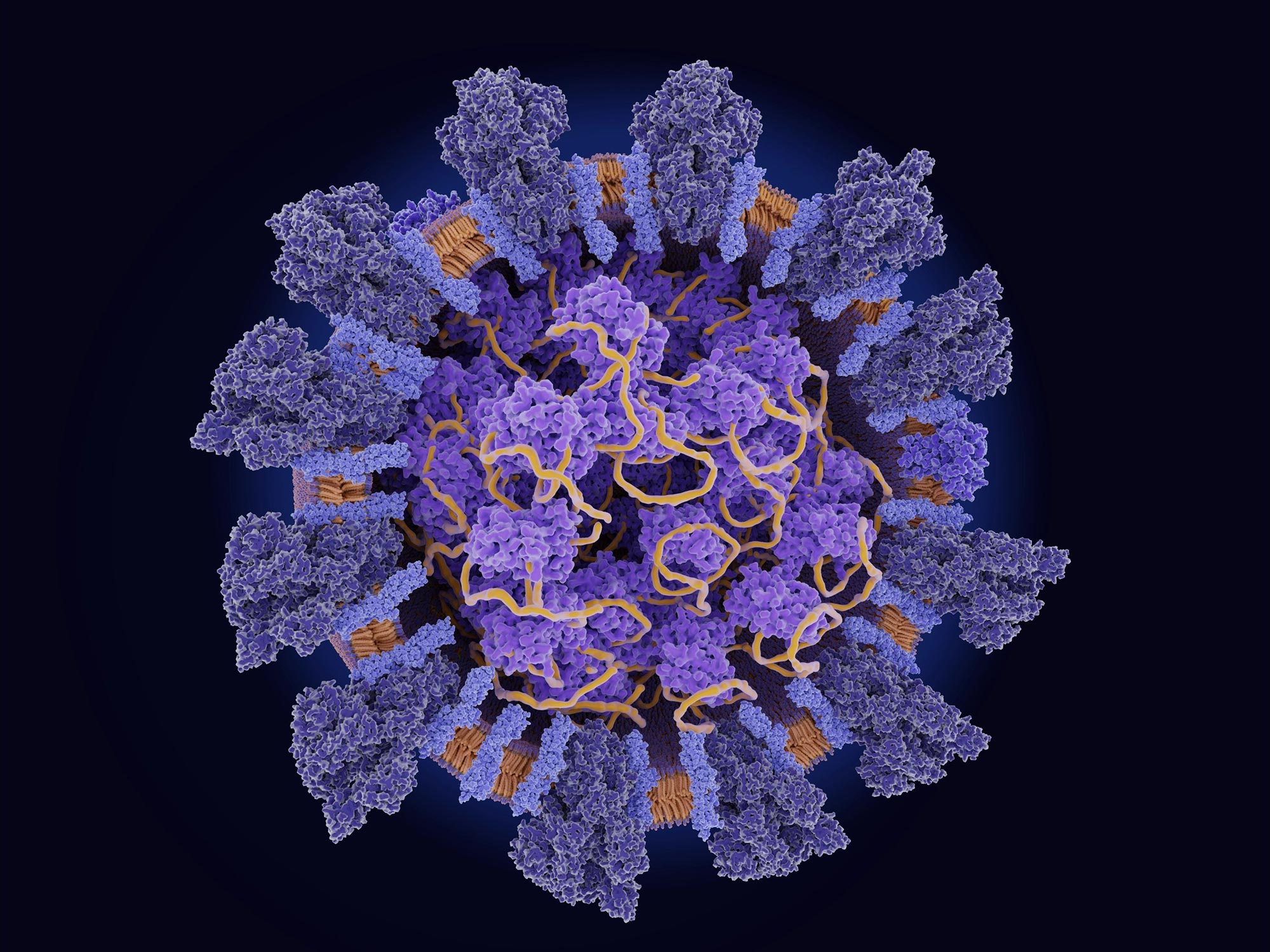 Коронавирус 9. SARS-cov-2 Дельта штамм. Коронавирус SARS-cov-2. Штамм Сарс коронавирус. Вирус SARS-cov-2 под микроскопом.