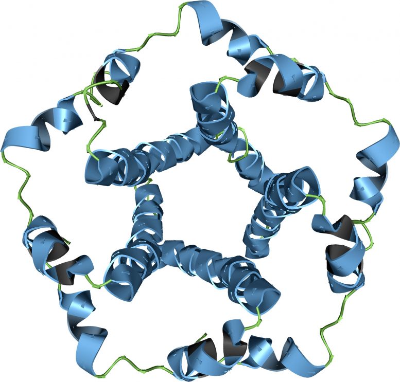 SARS-CoV-2 Envelople Protein