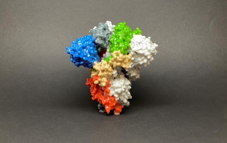 SARS-CoV-2 Spike Protein 3D Baskı
