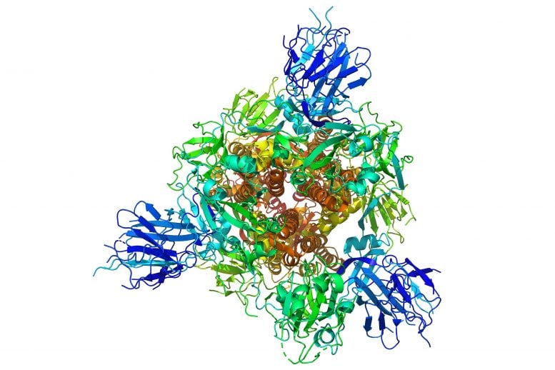 SARS CoV 2 Spike Protein