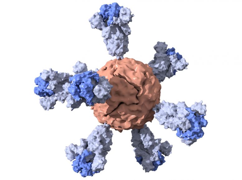 SARS-CoV-2 Vaccine Nanoparticle