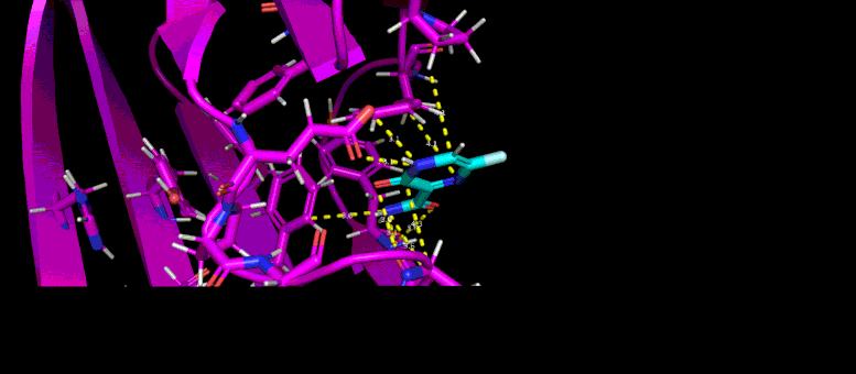 SARS-CoV-2 Virus Protein Docking Position