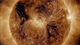SDO Generates View of the Sun's Magnetic Field