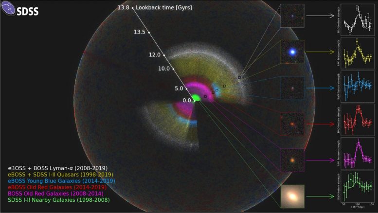 SDSS Observable Universe Map
