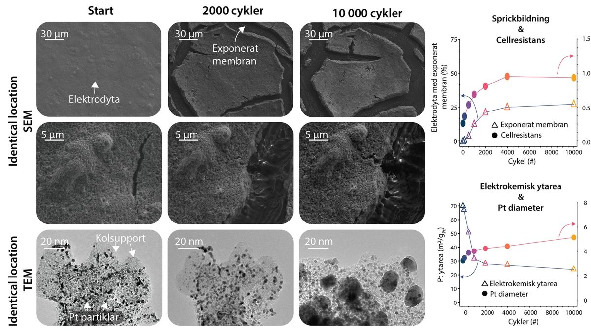 Fuel Cell Breakthrough: New Research Reveals Key to Extended Lifespan