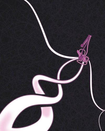 DNA’s Secret Dance: How Molecular Machines Twist and Loop Life’s Code