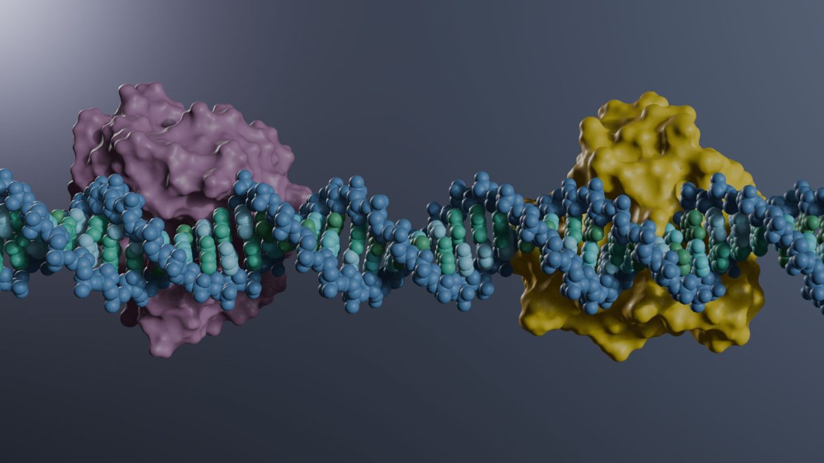 Researchers Capture the First Atomic-Level Images of a Critical Human ...