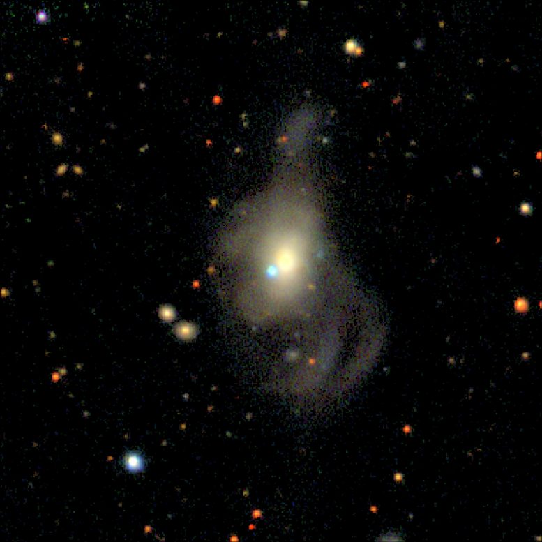 SN2019yvq Supernova