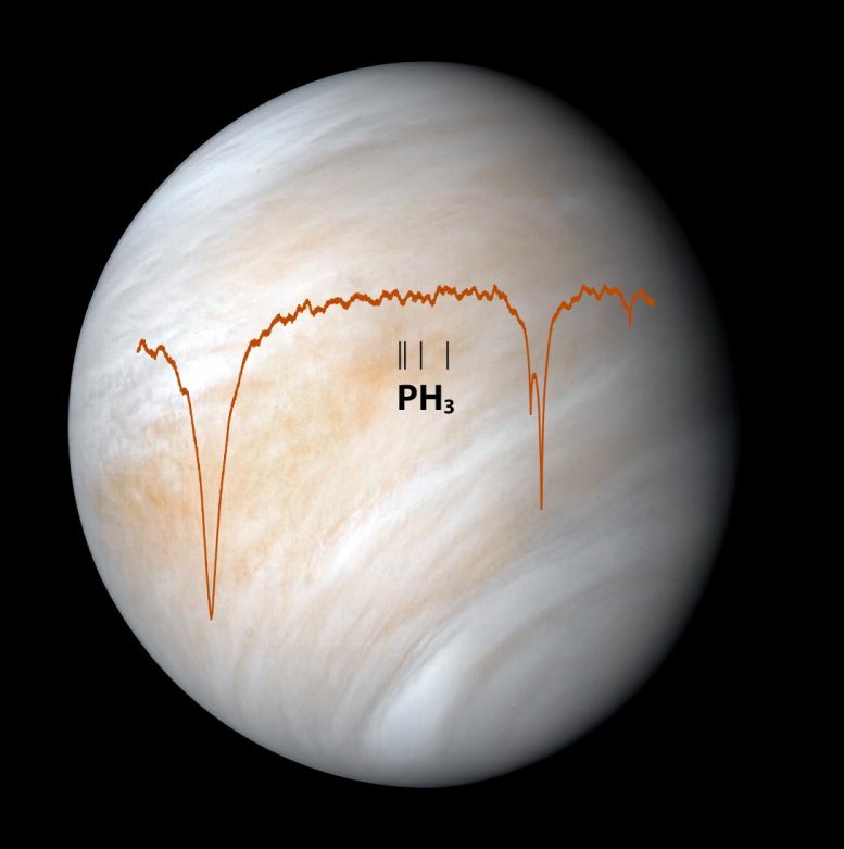 SOFIA Venus Spectral Data