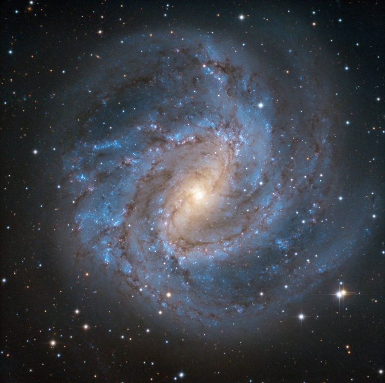 SPECULOOS Southern Observatory Shows M83