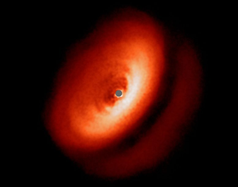 SPHERE Reveals Fascinating Zoo of Discs Around Young Stars