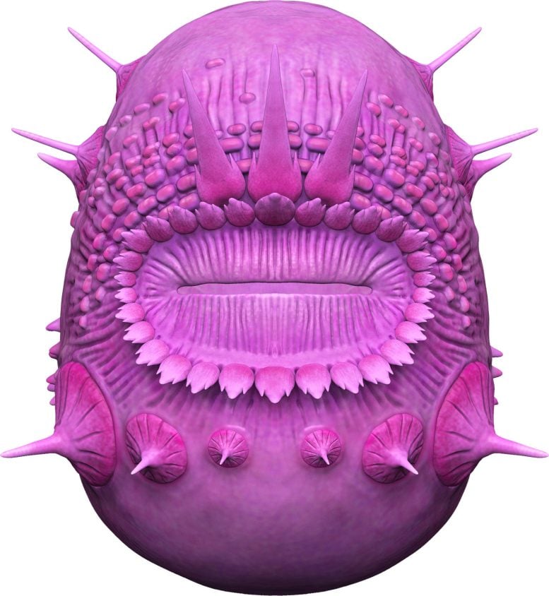 Saccorhytus