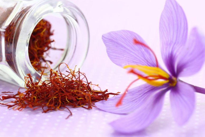Saffron Flower and Spice