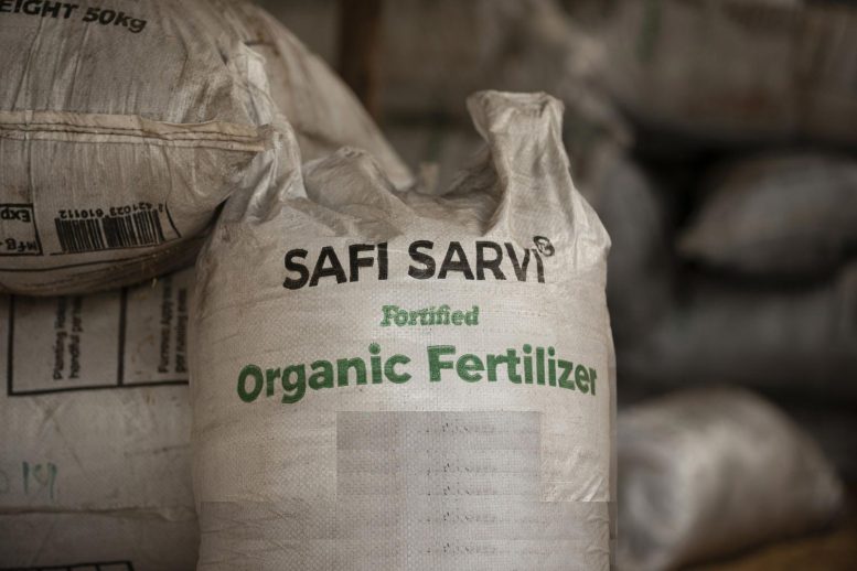 Safi Organic Fertilizer