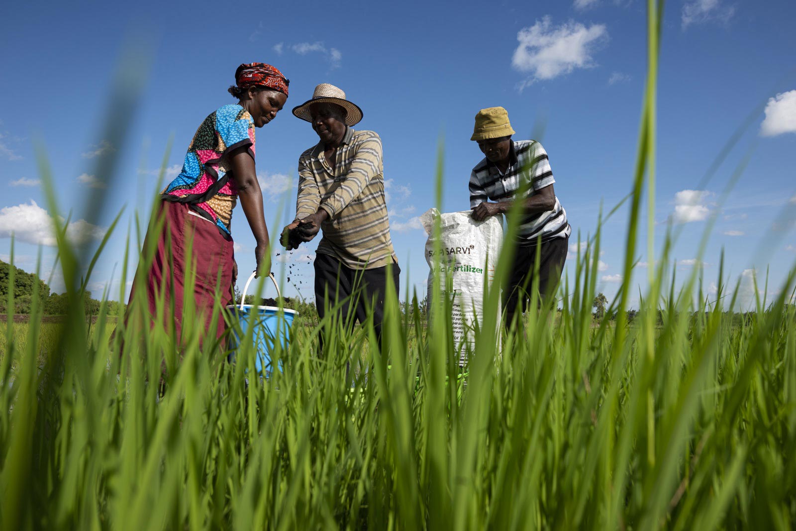 Safi Organics: A Life-Changing Fertilizer for Rural Farmers in Kenya thumbnail