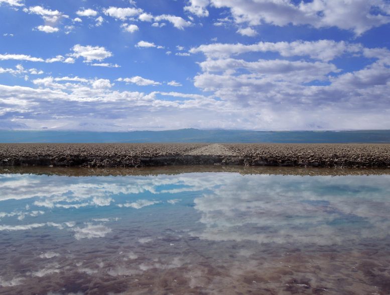 Salar de Atacama Halite Nucleus