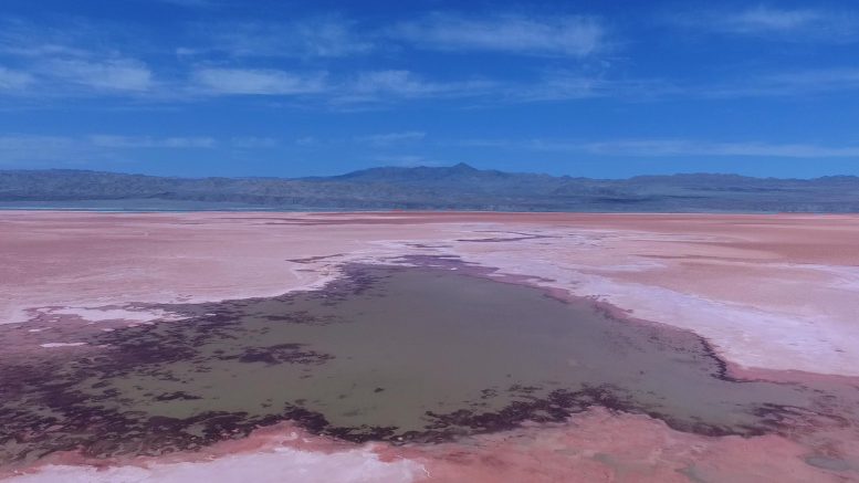 Salar de Atacama in Chile