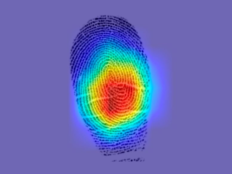 Saliency Map Fingerprint