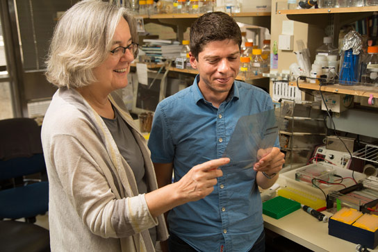Salk Institute Discovers an On Off Switch for Aging Cells