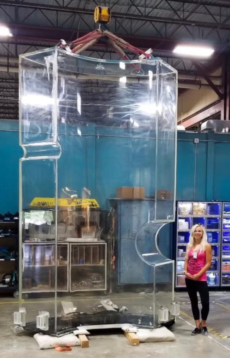 Sally Shaw LZ Outer Detector Tank