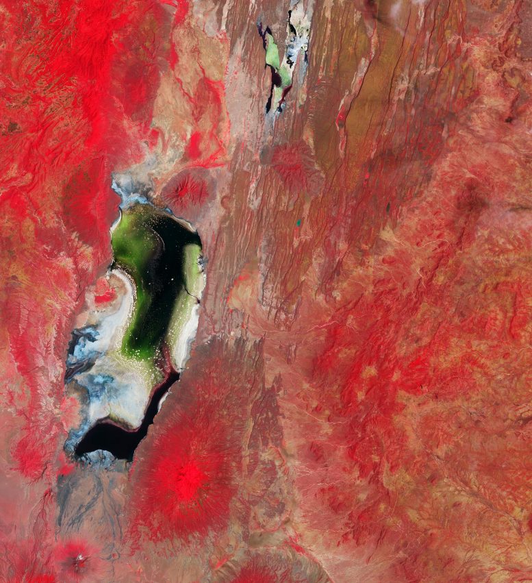 Salty Lakes From Space