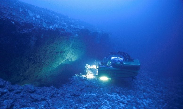 Sam Purkis Submersible Gulf of Aqaba
