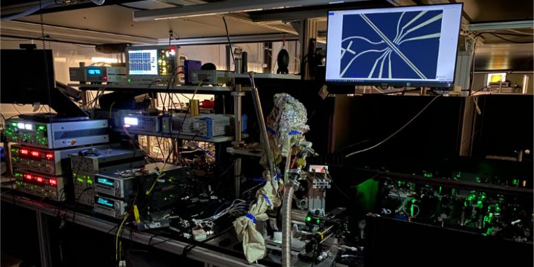 Sample Contained in the Cryostat