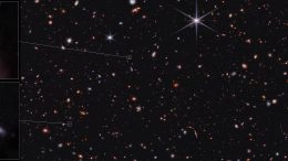 Sample Shapes of Distant Galaxies Identified in Webb’s CEERS Survey